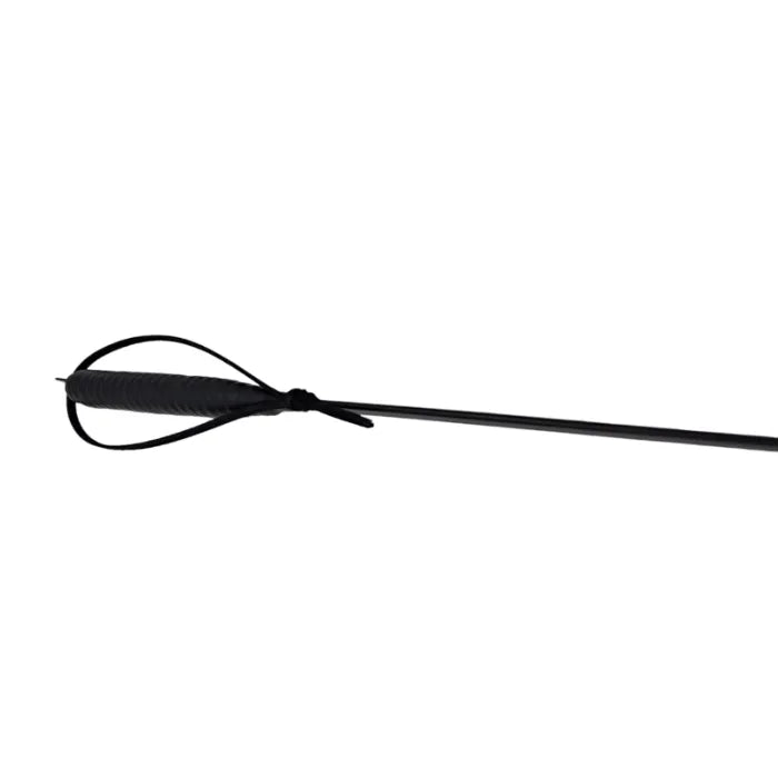 BDSM Carbonfaser Cane