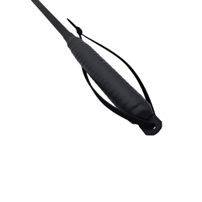 BDSM Carbonfaser Cane