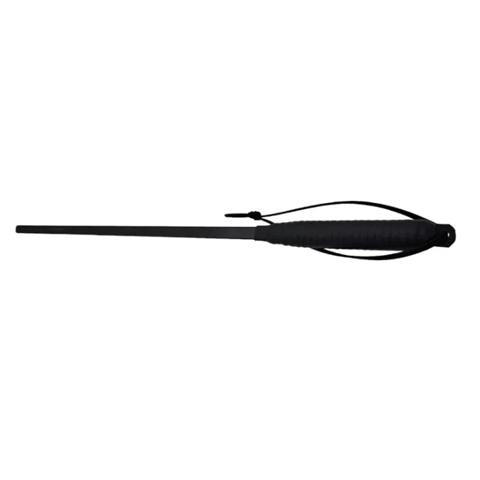 BDSM Carbonfaser Cane